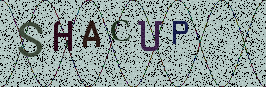 Visual Confirmation Security Code